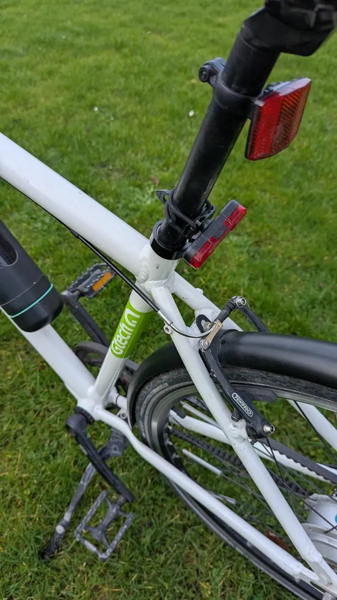 E-bike Gtech Carbon belt - Image 4