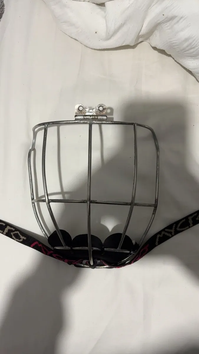 Oldstyle wide hinge cleere guard - Image 1