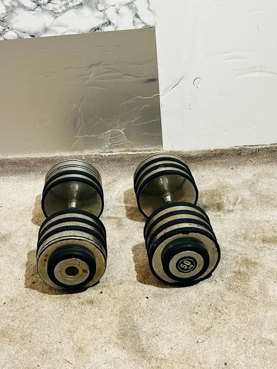 100KG DUMBBELLS 2 X 50s - Image 2