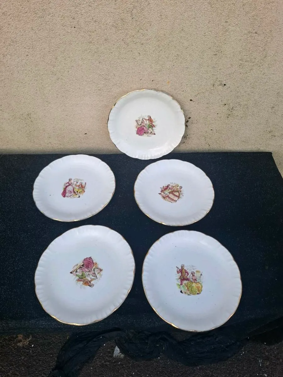 5 ceramic dinner plates - Image 1