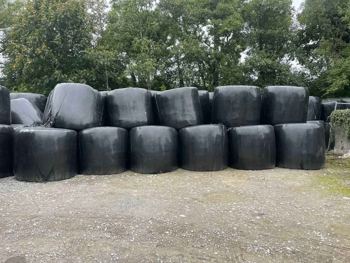 Silage Bales