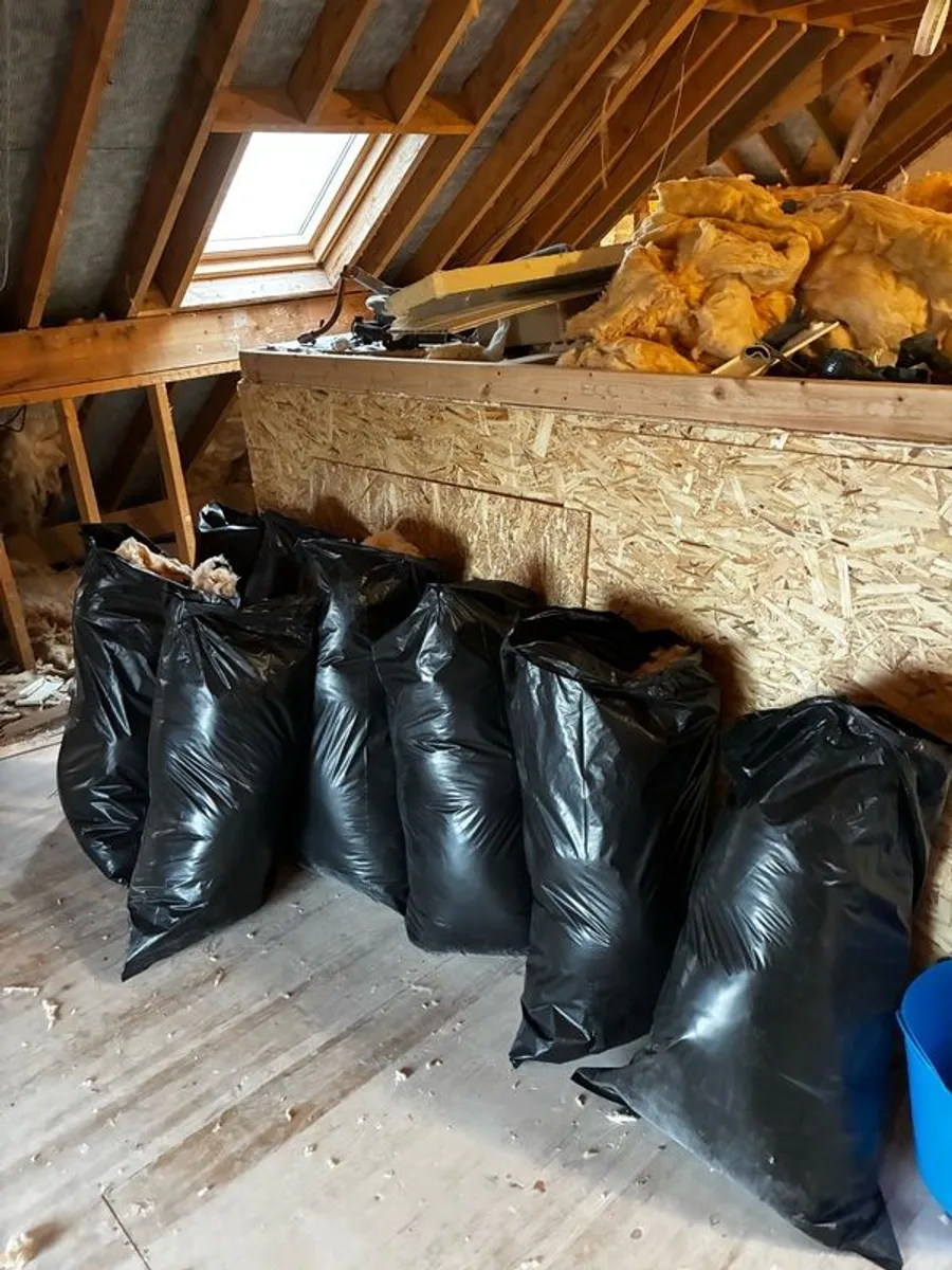 Loft Insulation - Image 1