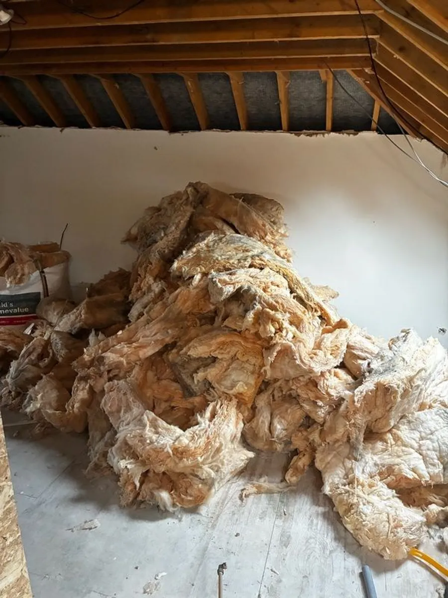 Loft Insulation - Image 2