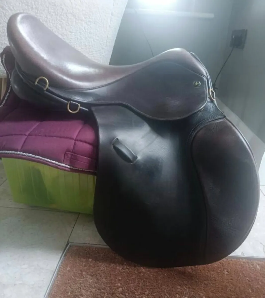 Ideal Saddle - Image 1