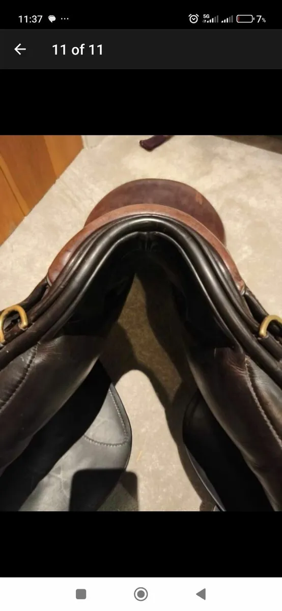 Ideal Saddle - Image 3