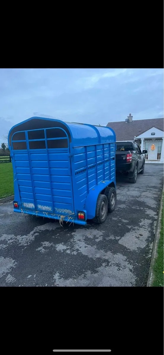 8f Cattle trailer - Image 3
