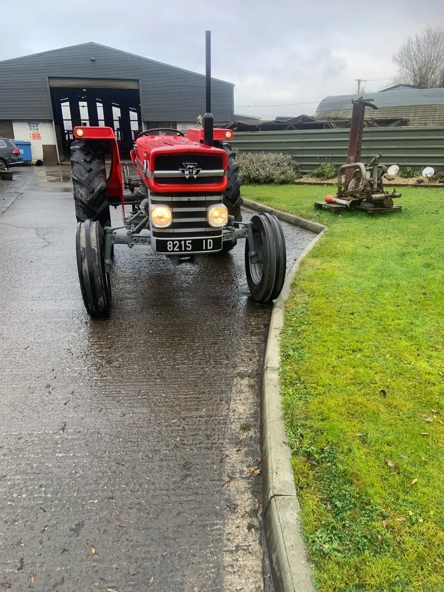 Massy Ferguson 135 - Image 3