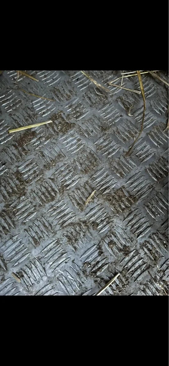 8f Cattle trailer - Image 4