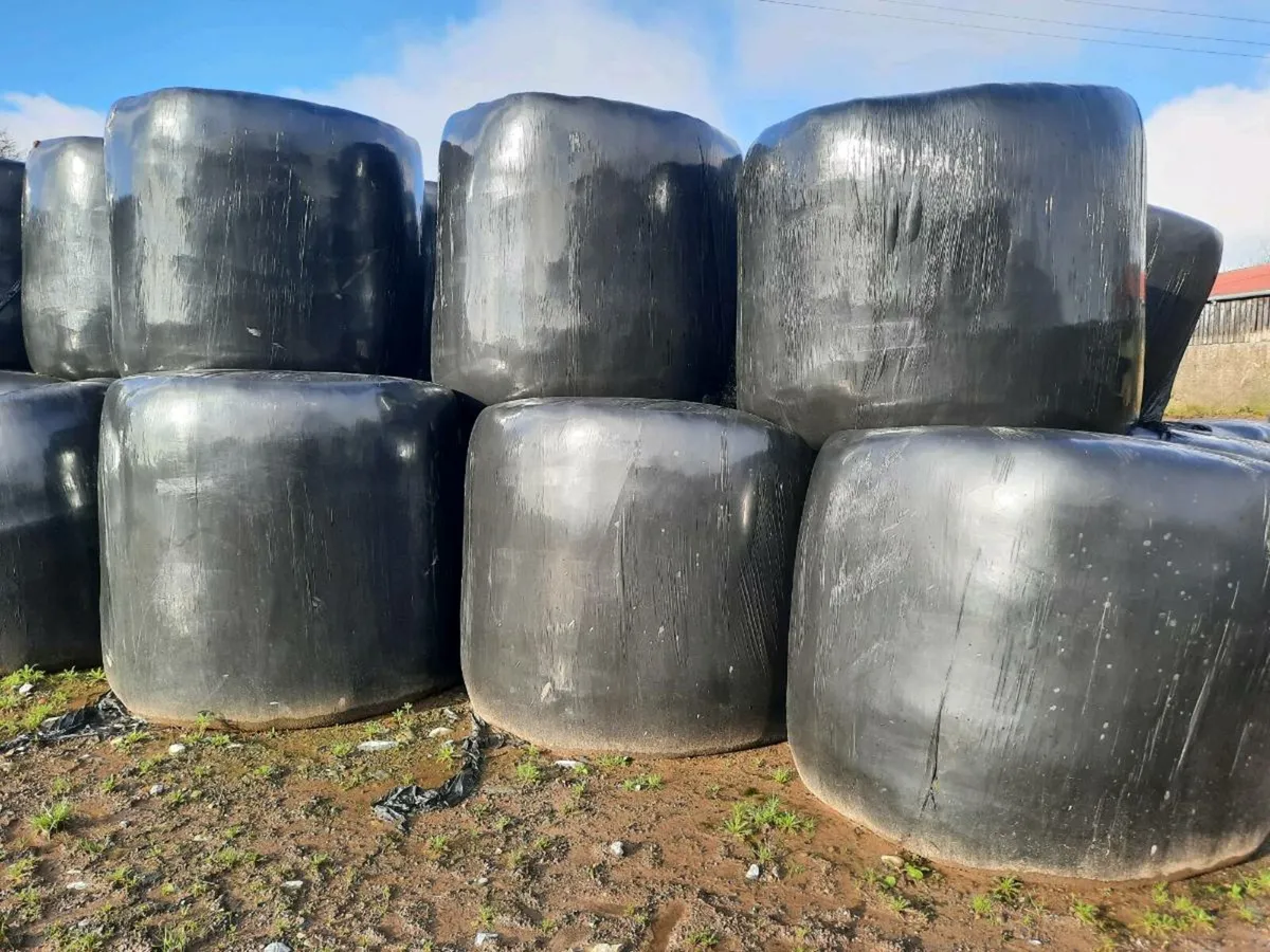 Silage Bales
