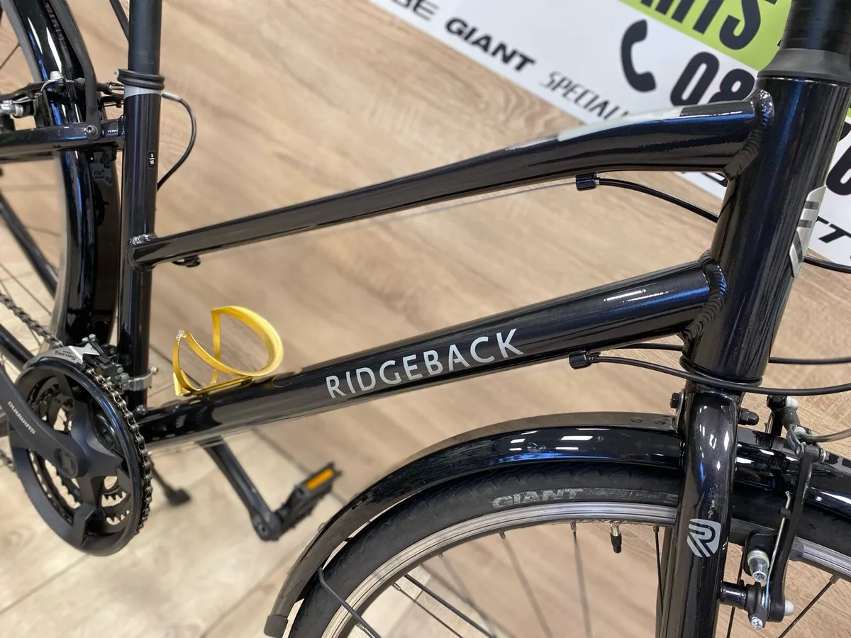 Ridgeback speed (like new) - Image 3