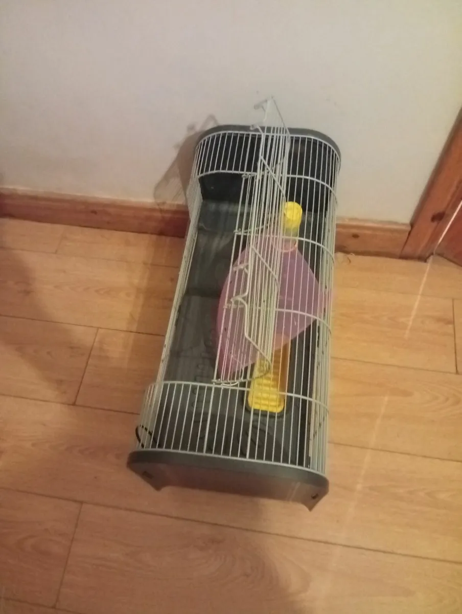 Luxury Geneva Hamster Guinea pig cage full set - Image 2