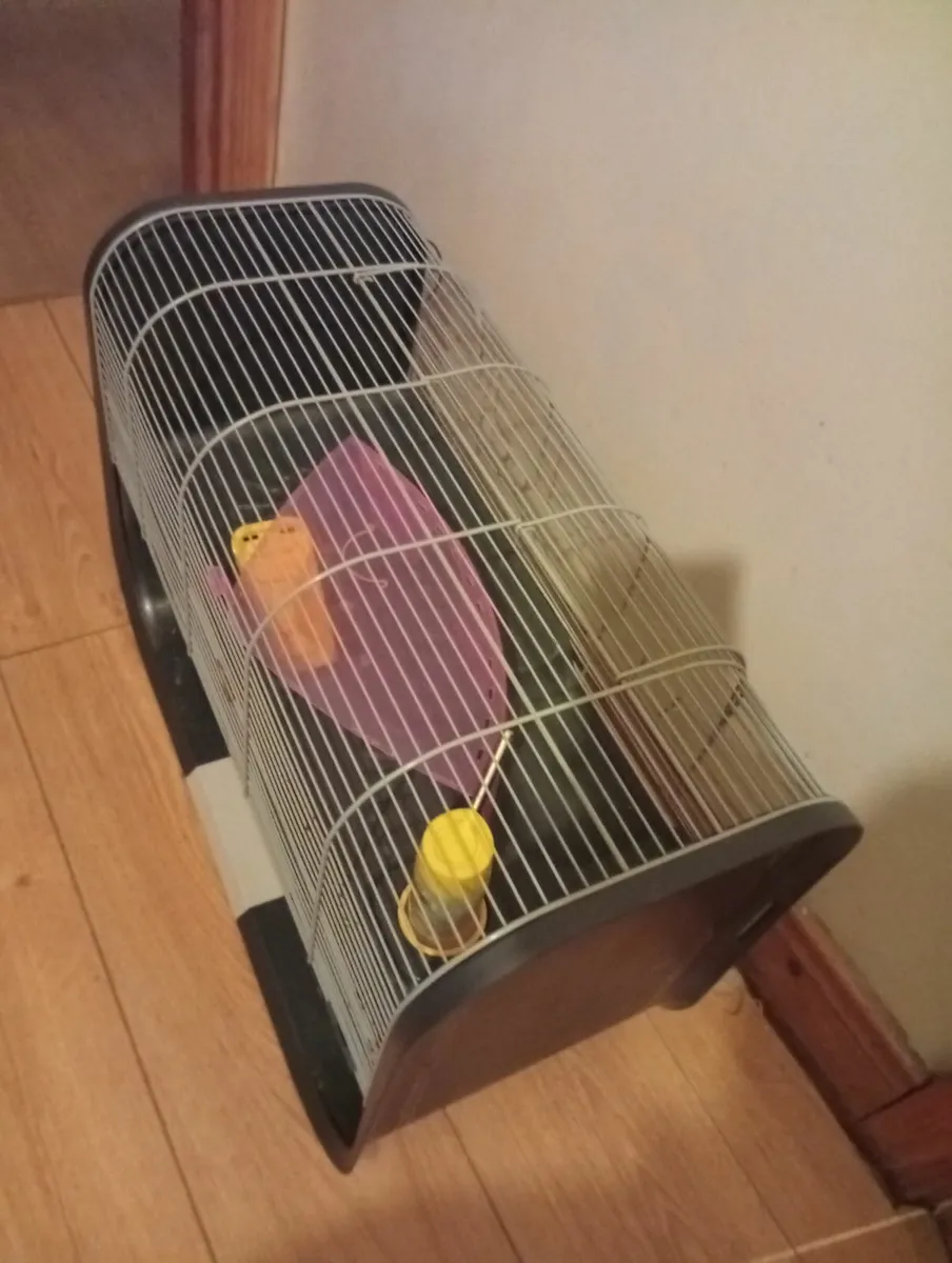 Luxury Geneva Hamster Guinea pig cage full set - Image 4