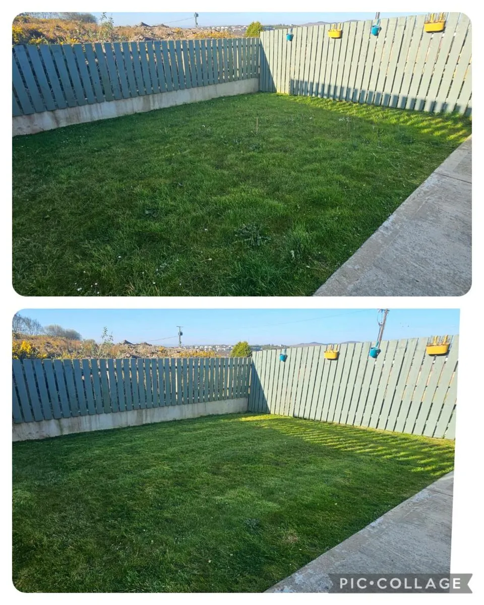 Garden Services - Image 3