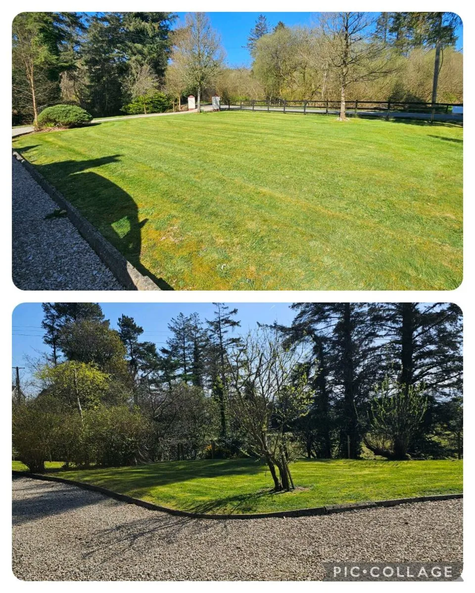 Garden Services - Image 4