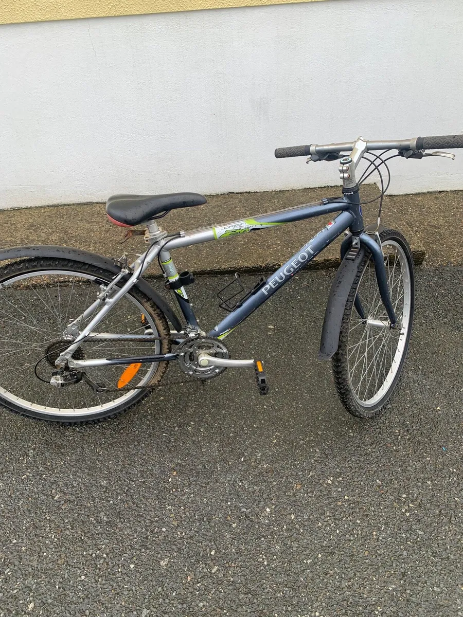 2 Bikes - Image 1