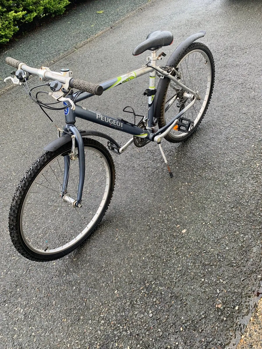 2 Bikes - Image 4