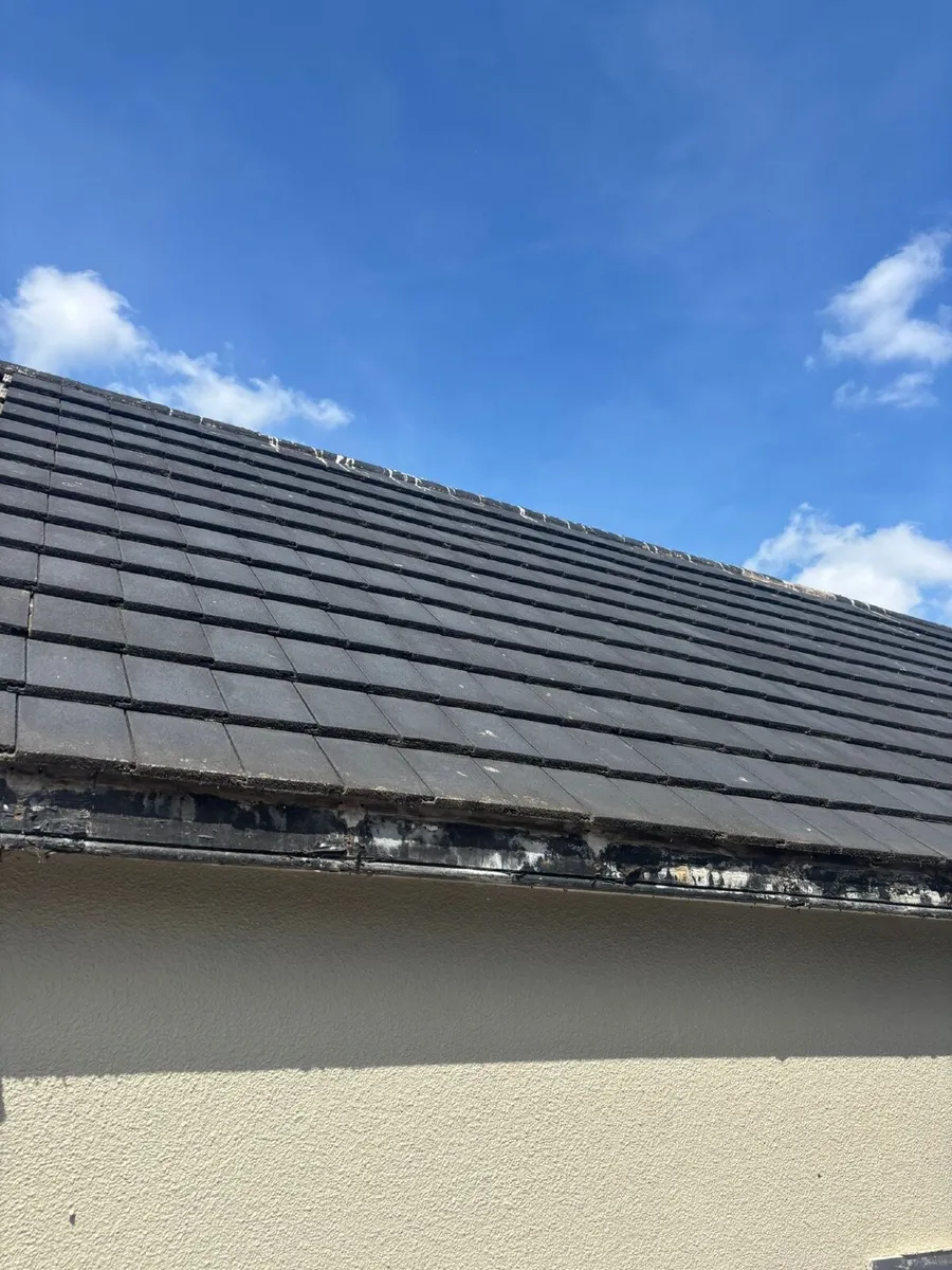 Roof Tiles - Image 1