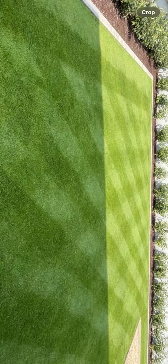 Honda HRD 536 rear roller Lawnmower - Image 4