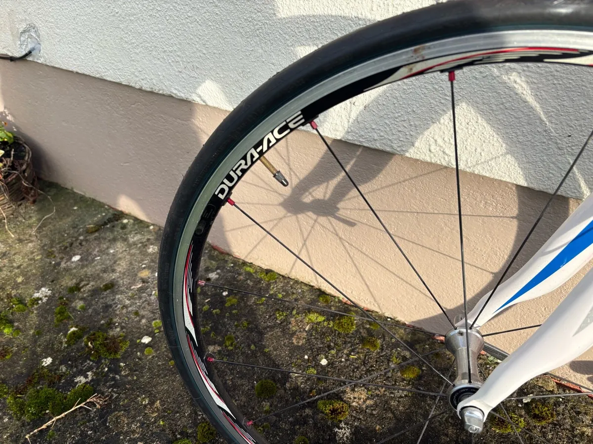 Racing bike - Image 3