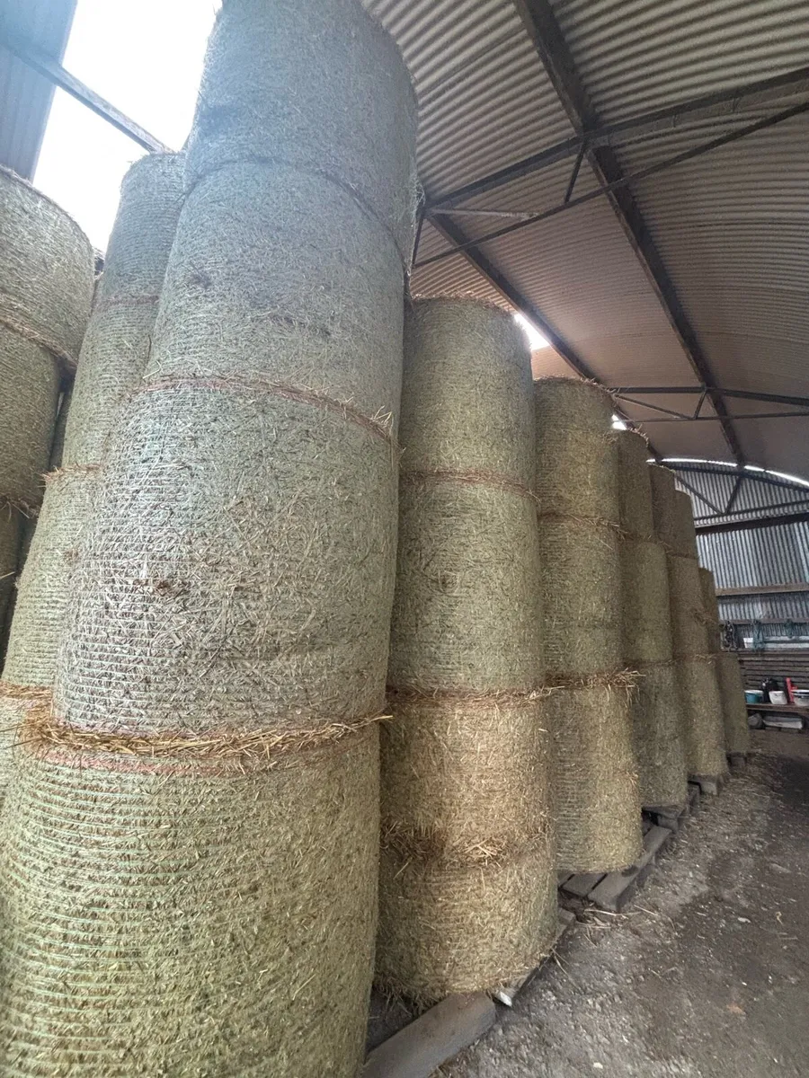 Barley Straw - Image 1