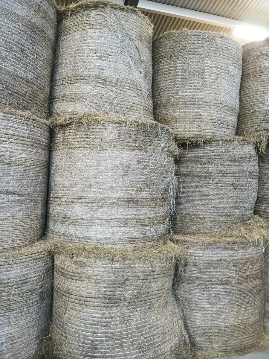 Top Quality Round Bales of upland Hay
