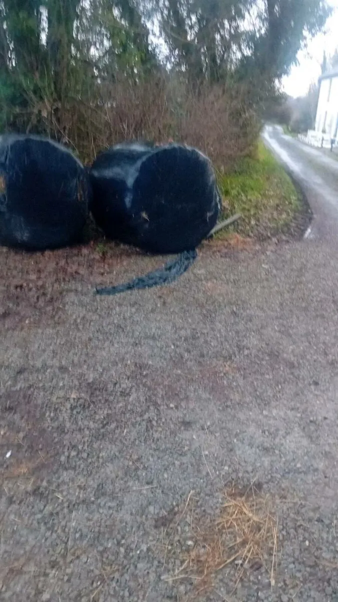 Hay and silage - Image 3