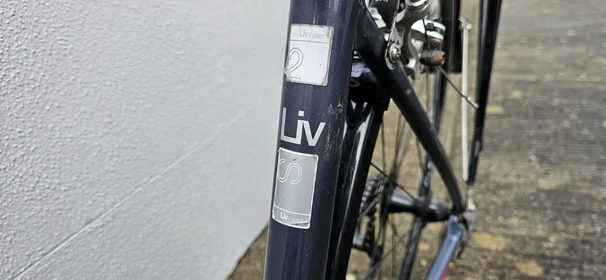 Giant Dash Bike - Image 2