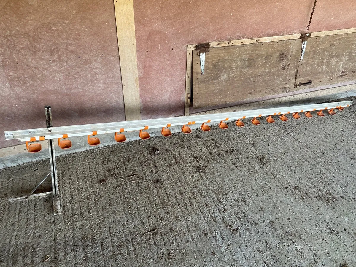 Poultry Equipment - Image 4