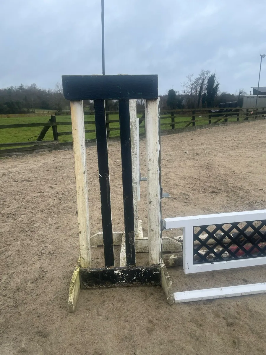 For sale show jumps - Image 2