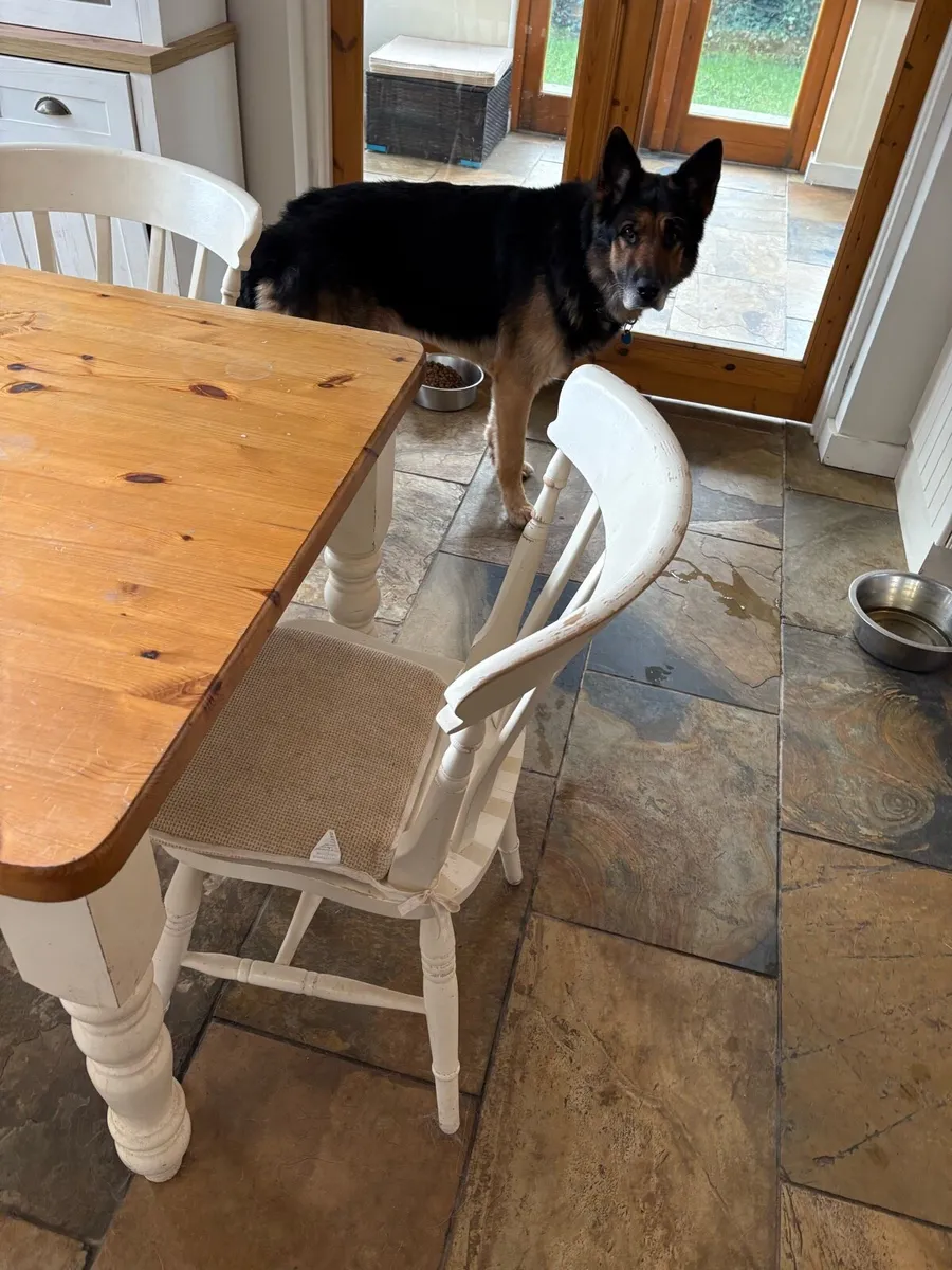 Dining table and 6 chairs - Image 4