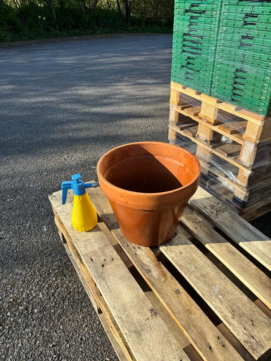 Terracotta planter huge - Image 3