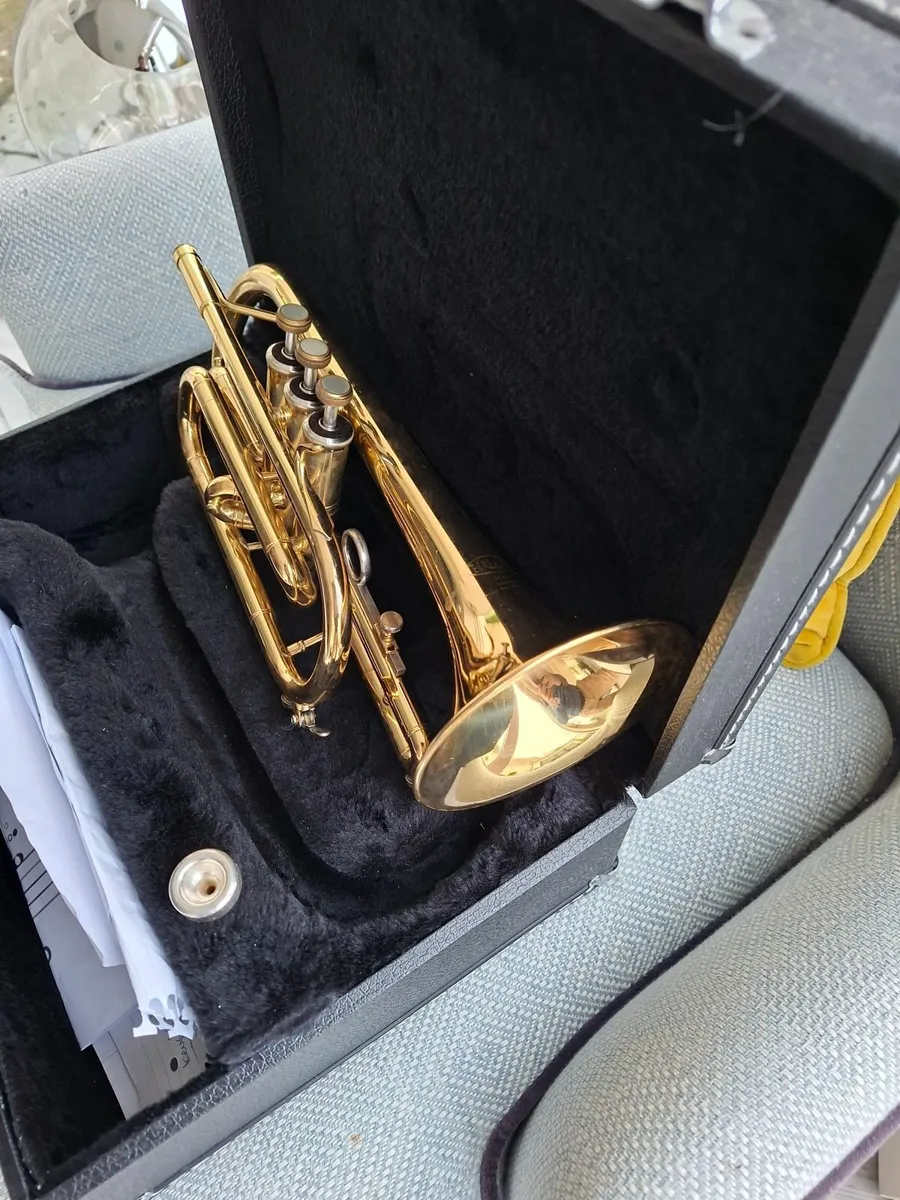 Trumpet - Image 1
