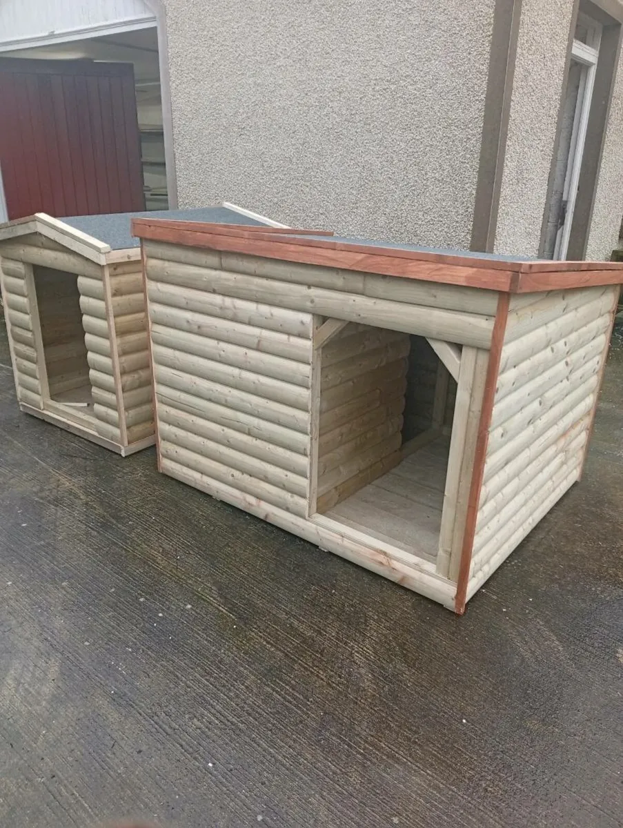 New dog boxes - Image 1