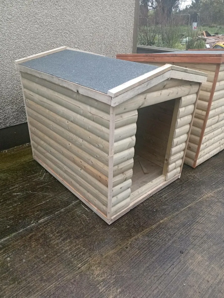 New dog boxes - Image 2