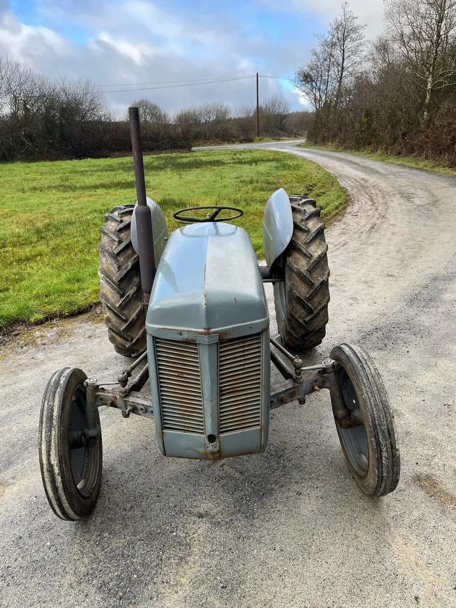 Grey Ferguson TVO 20 - Image 2