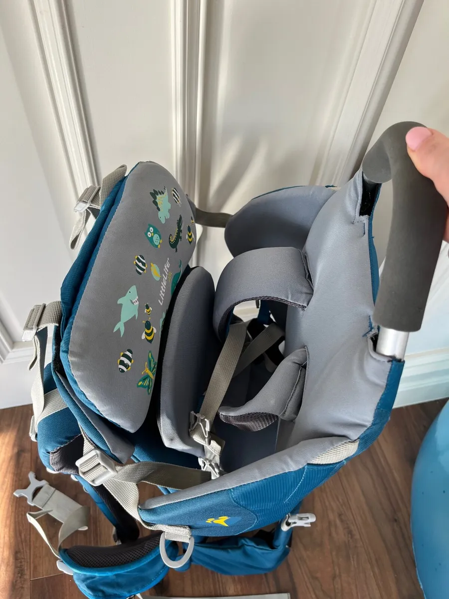 Child Carrier - Image 4