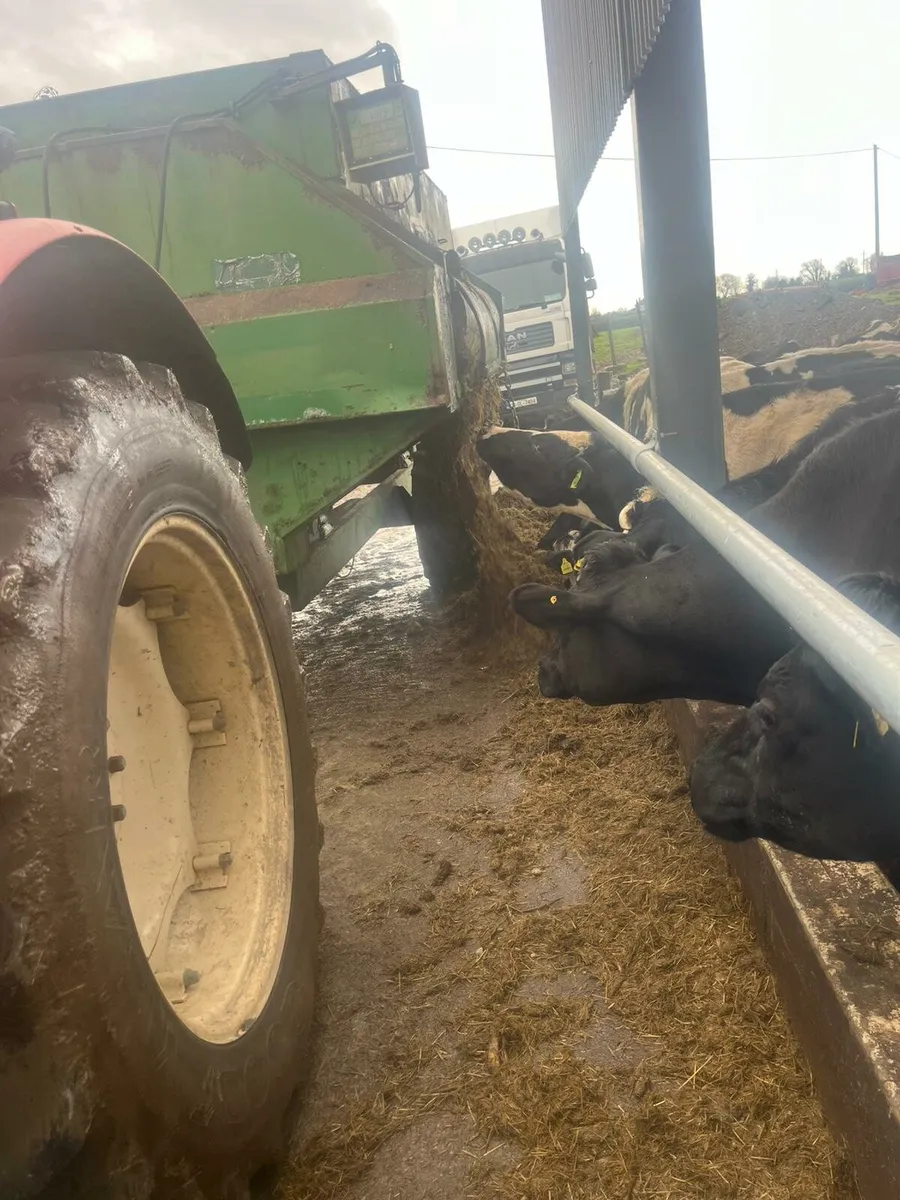 Keenan 140 Diet Feeder - Image 3