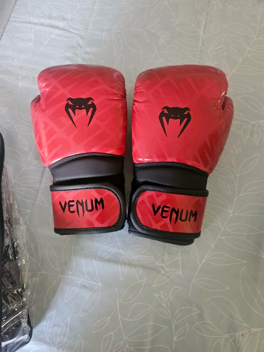 Kids Venum 4oz boxing gloves - Image 1