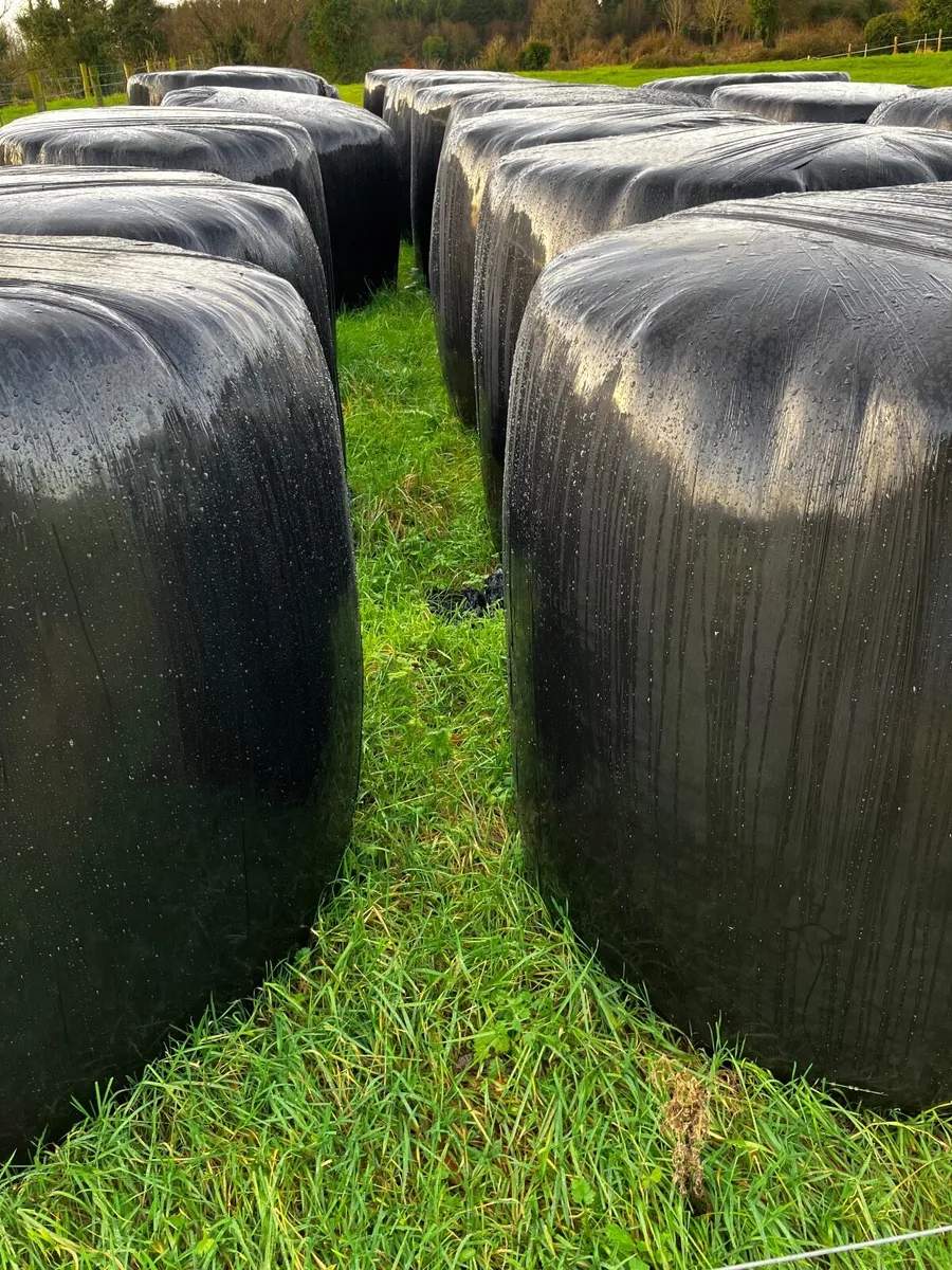 Silage bales