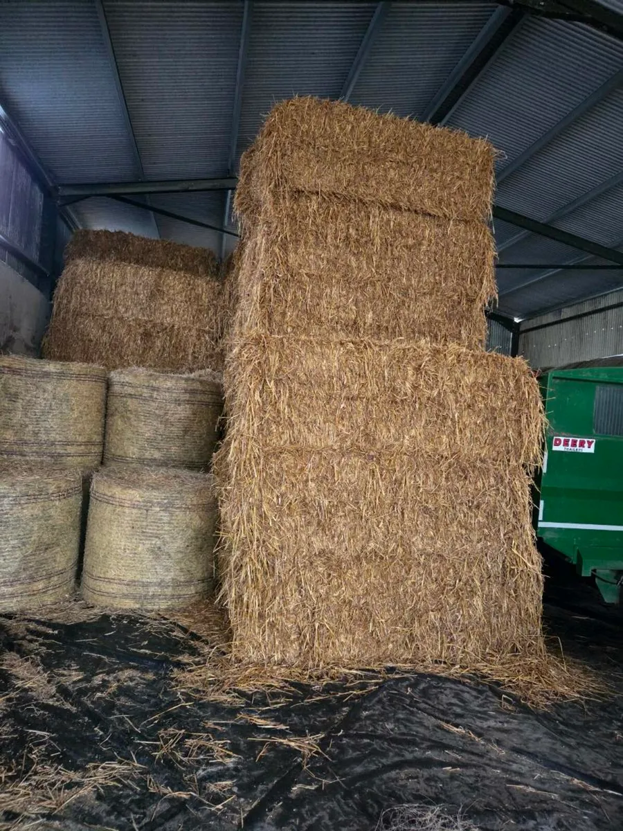 Oaten straw - Image 1