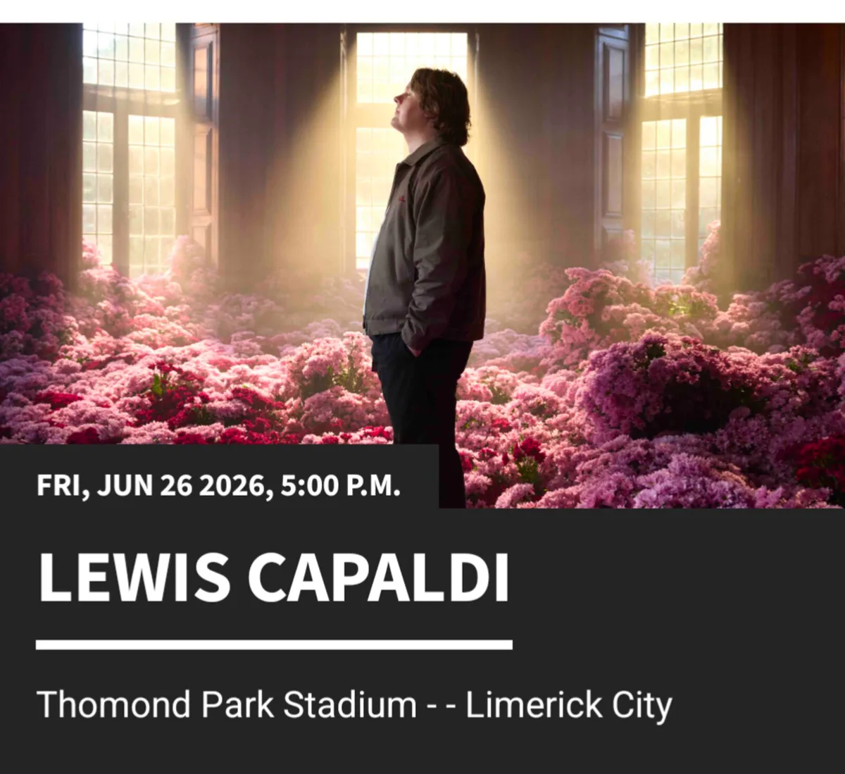 2X Seating Lewis Capaldi Thomond Stadium Tickets