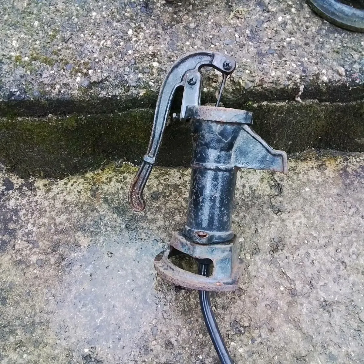 COLLECTABLES - Image 3