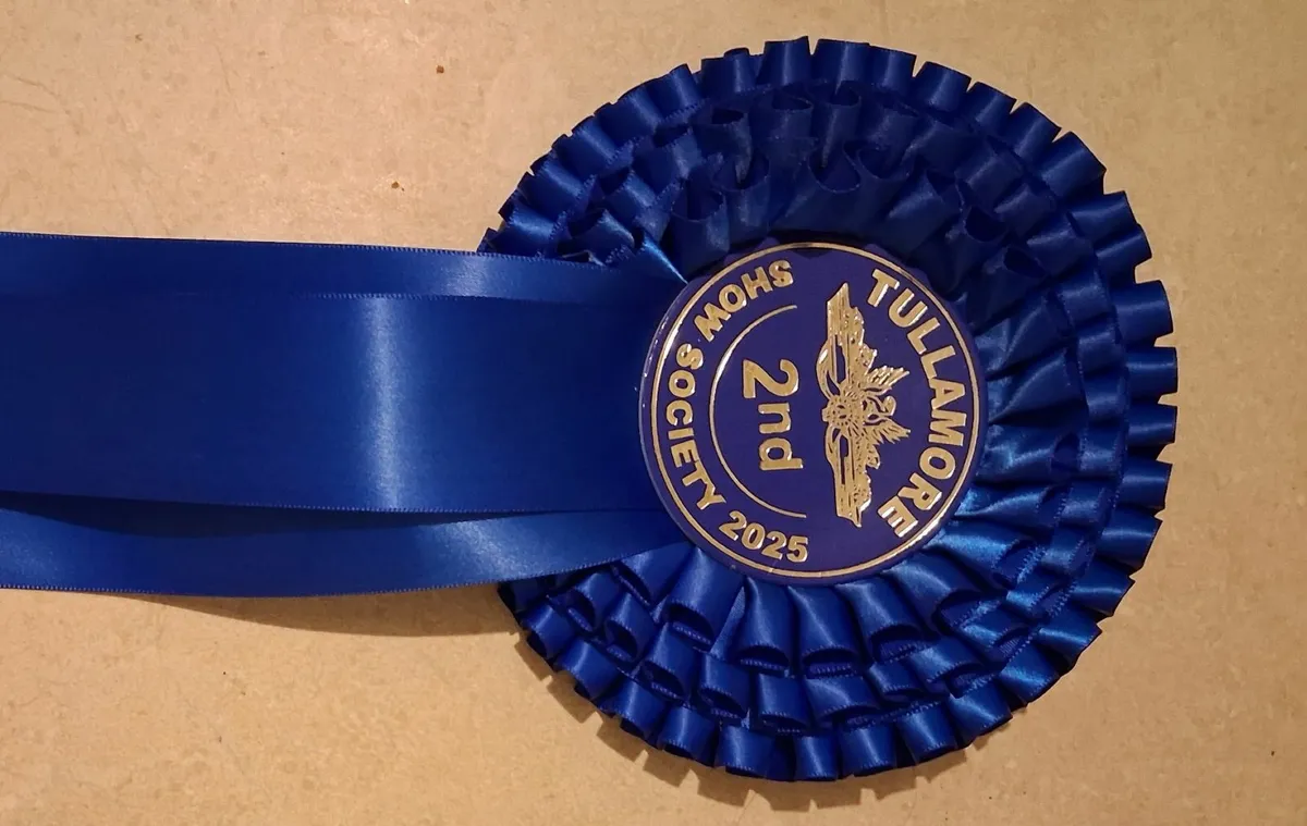 Lamb Station - Image 3