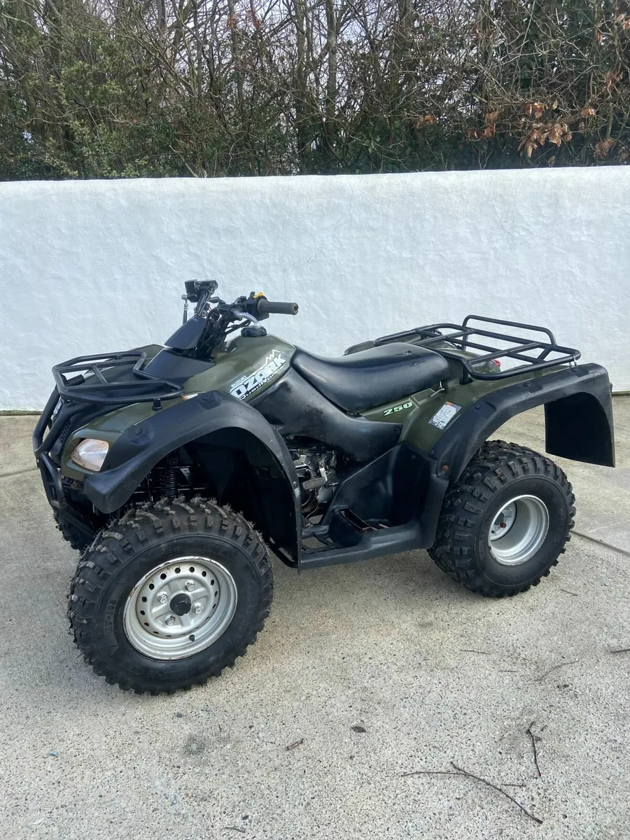 2017 SUZUKI 250 OZARK . - Image 2