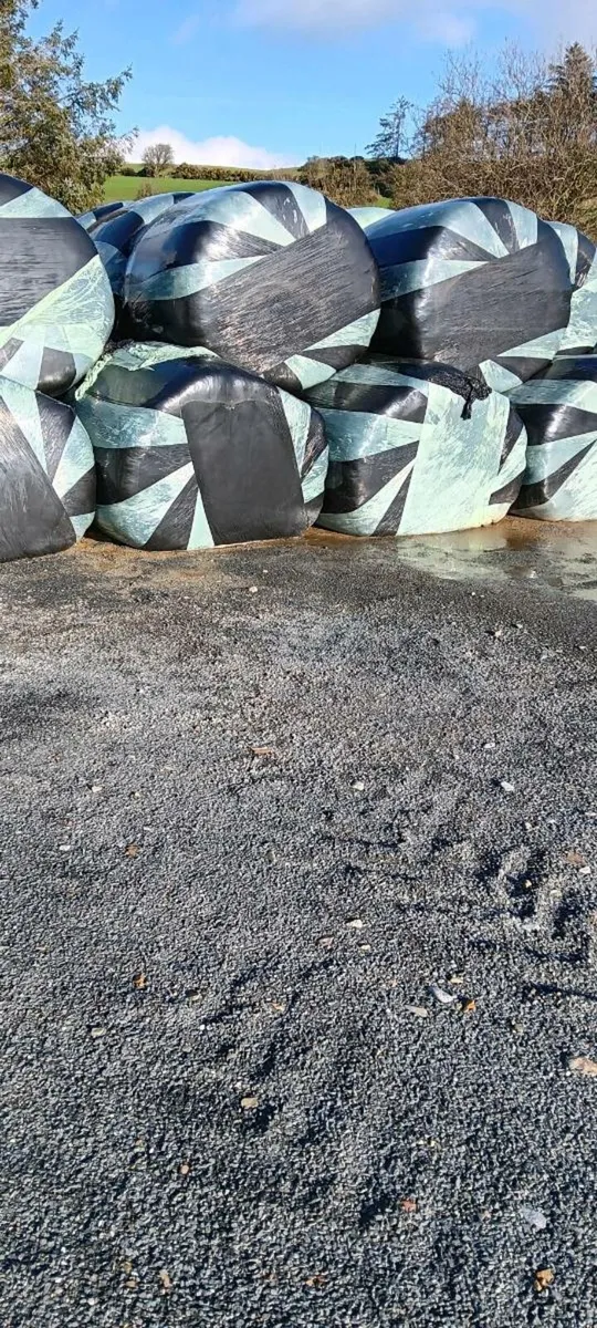 Bale silage - Image 2