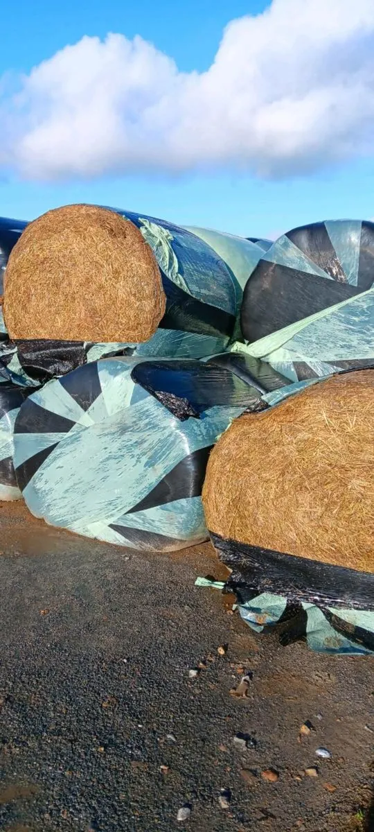 Bale silage - Image 1