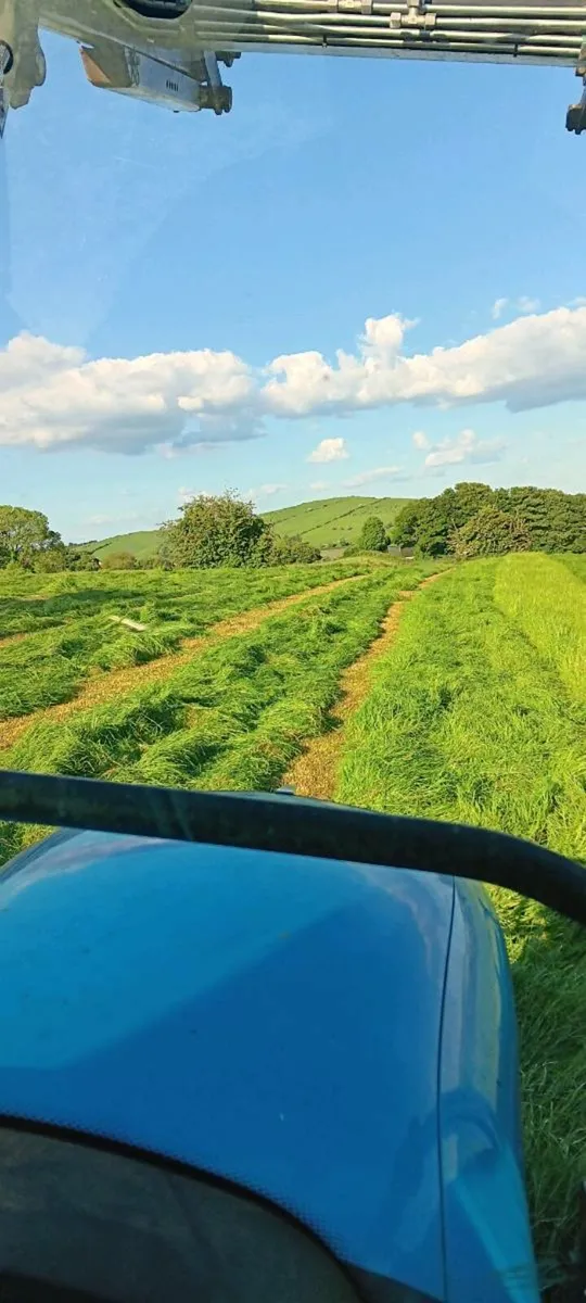 Bale silage - Image 4