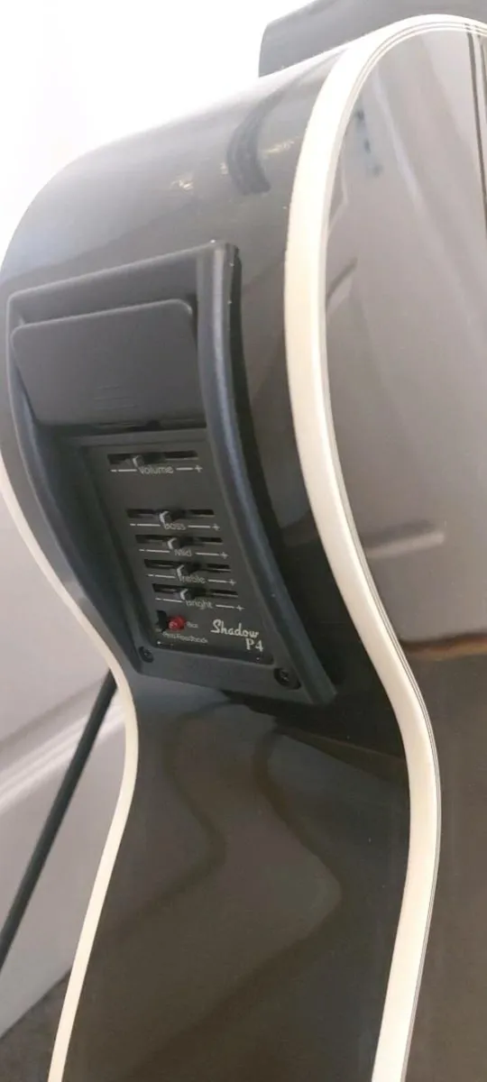 Brunswick 12 string semiacoustic guiatr - Image 3