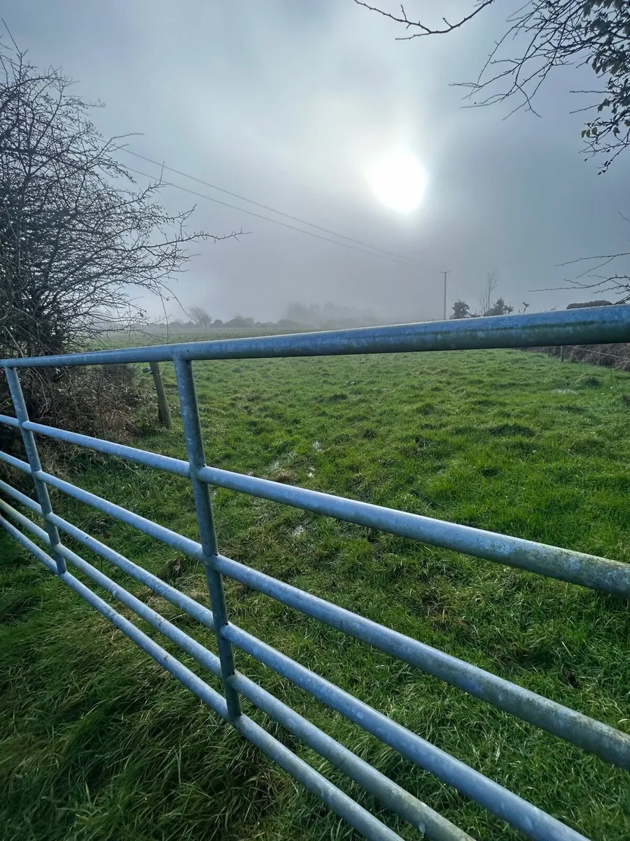 Land available immediately for sheep grazing - Image 1