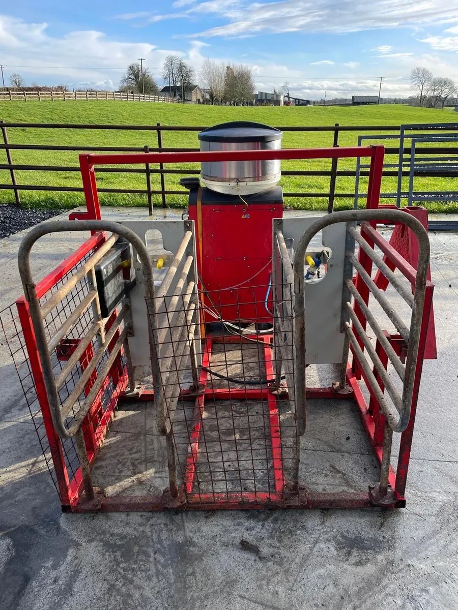Automatic Calf Feeder - Image 2